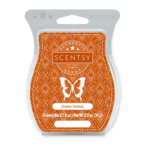 Scentsy Amber Hollow Wax Bar Retired Fall Woods Scent Clove Cardamom